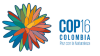 COP 11 logo